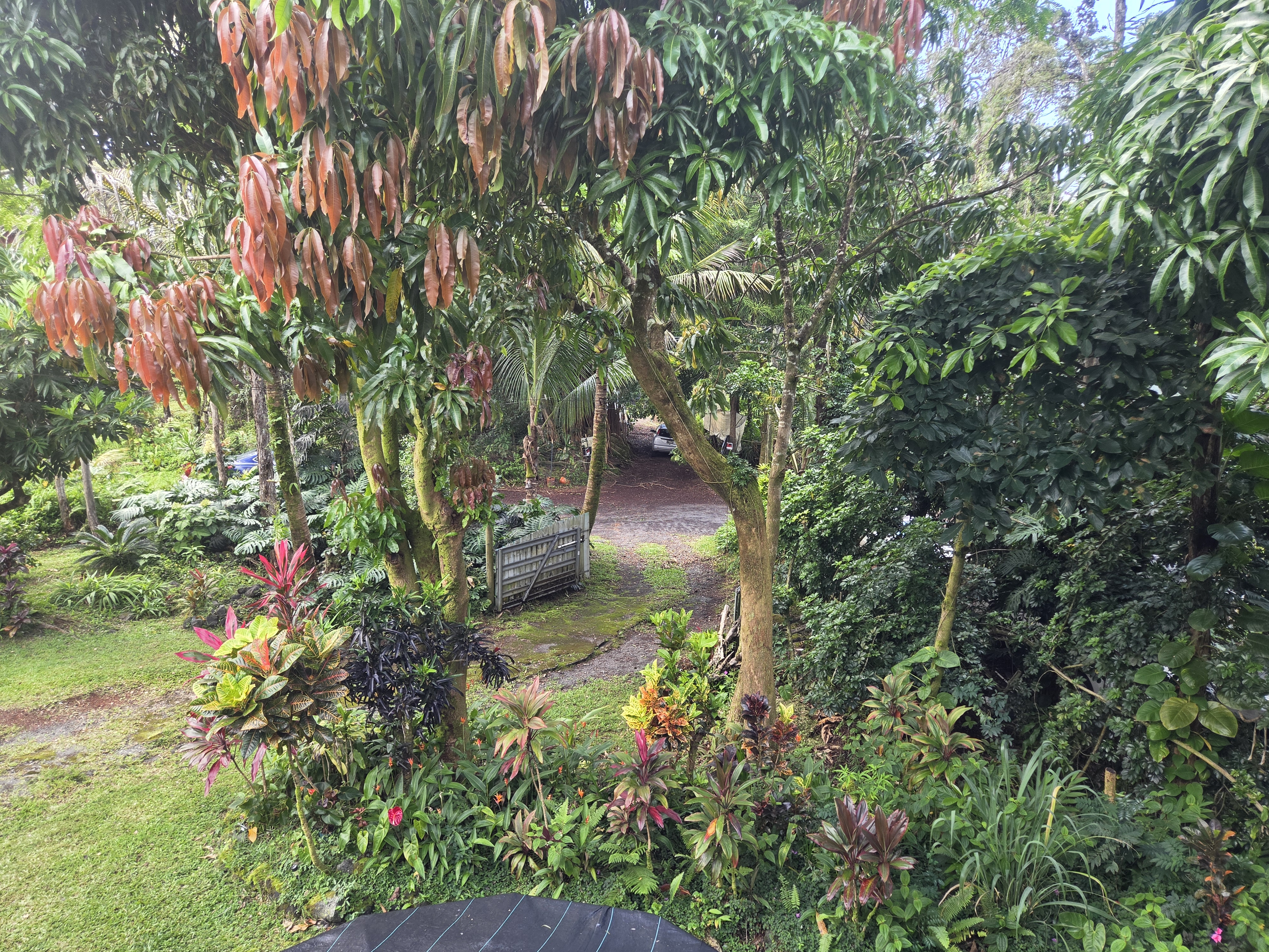 12-4346 Puna St Property Photo 23