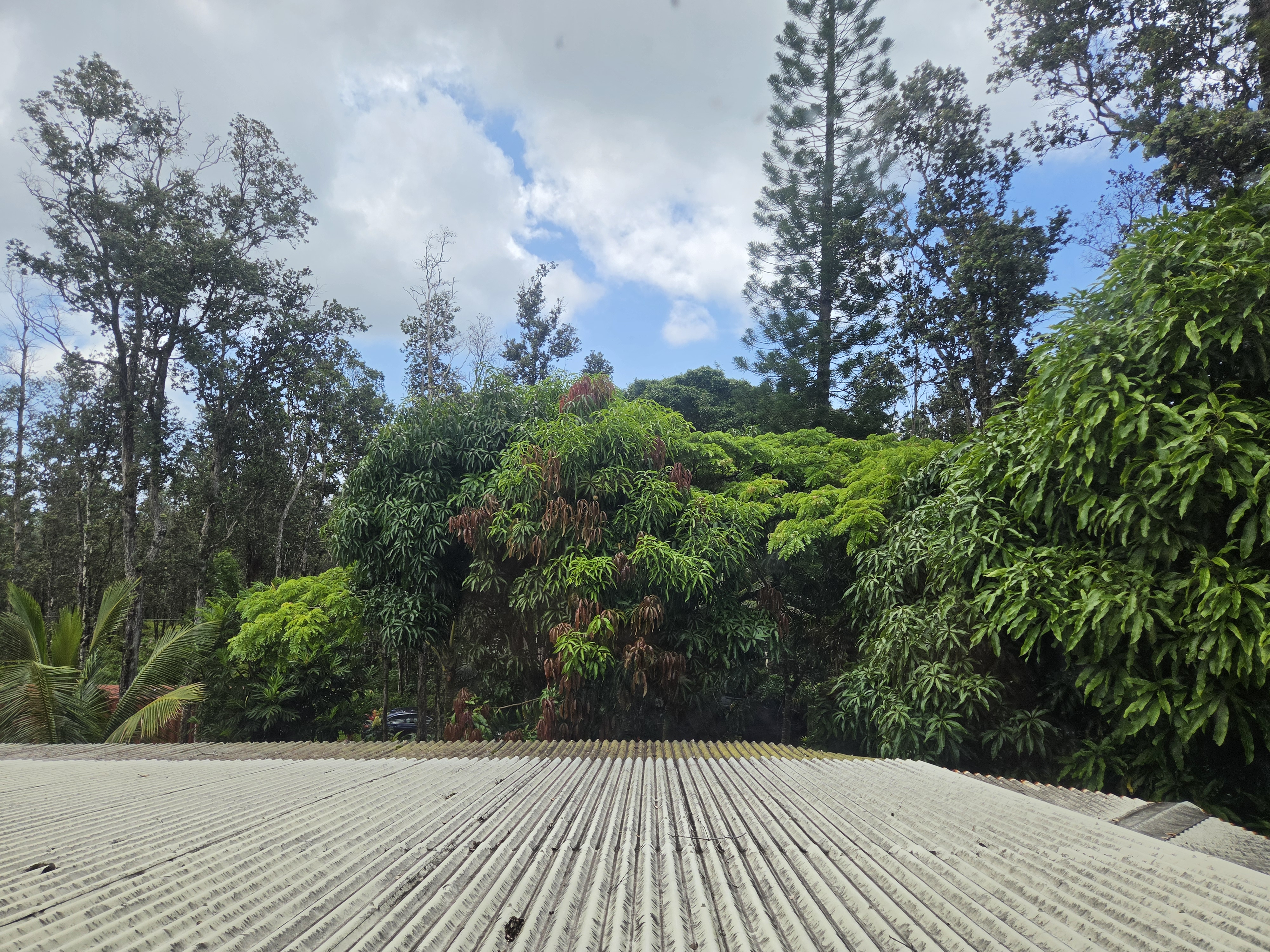 12-4346 Puna St Property Photo 24