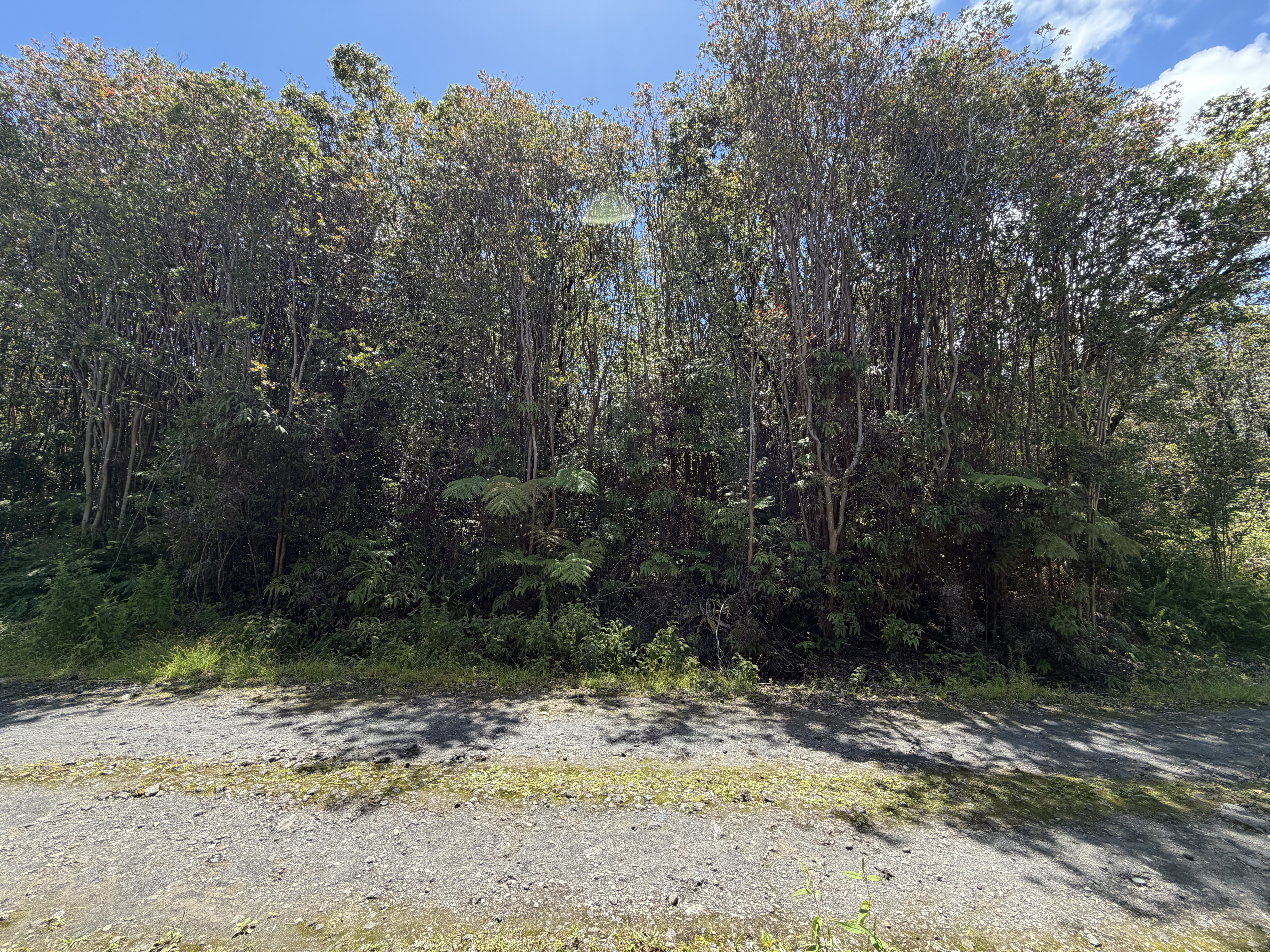 Road 7 Property Photo 2