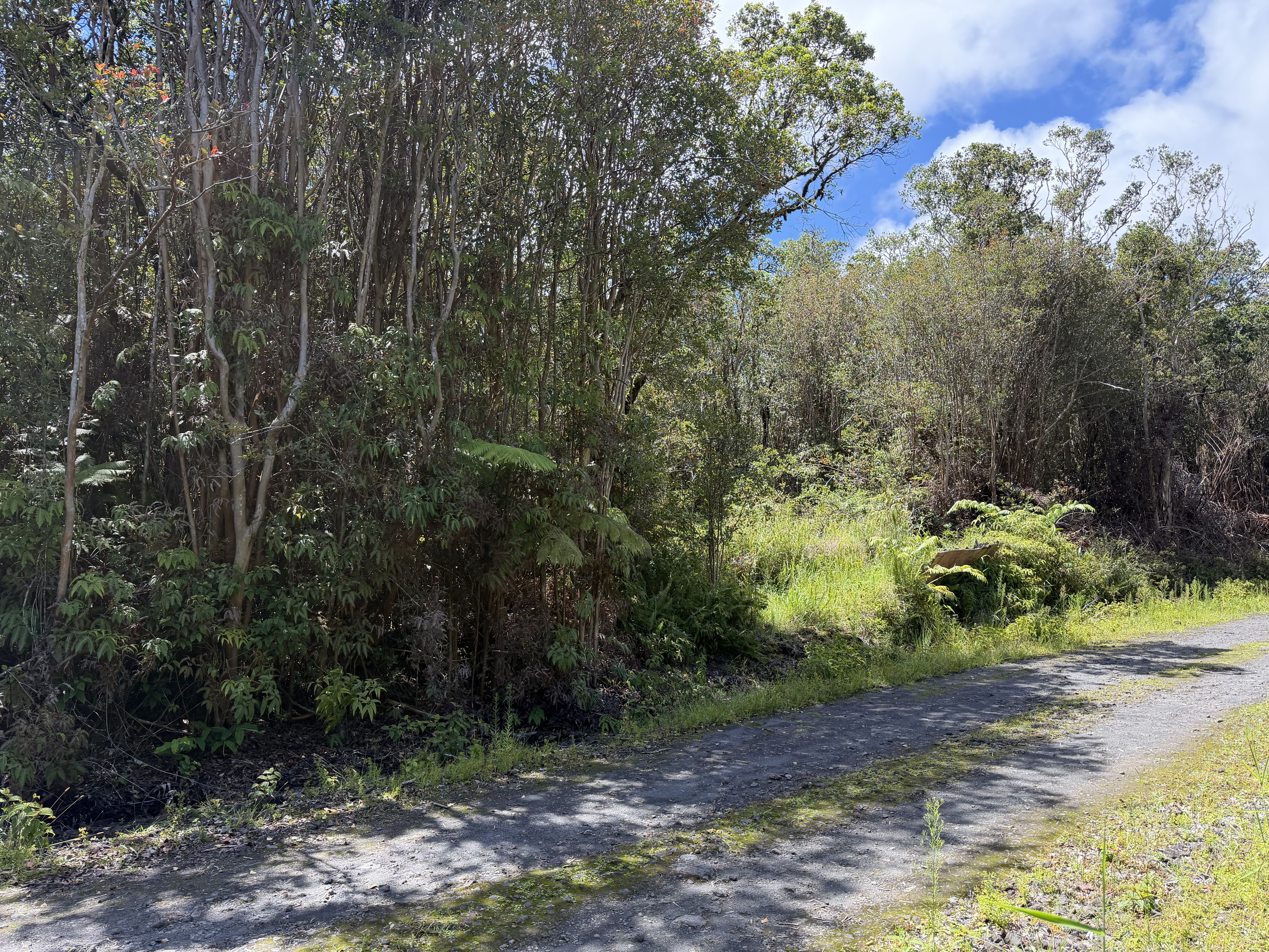 Road 7 Property Photo 3