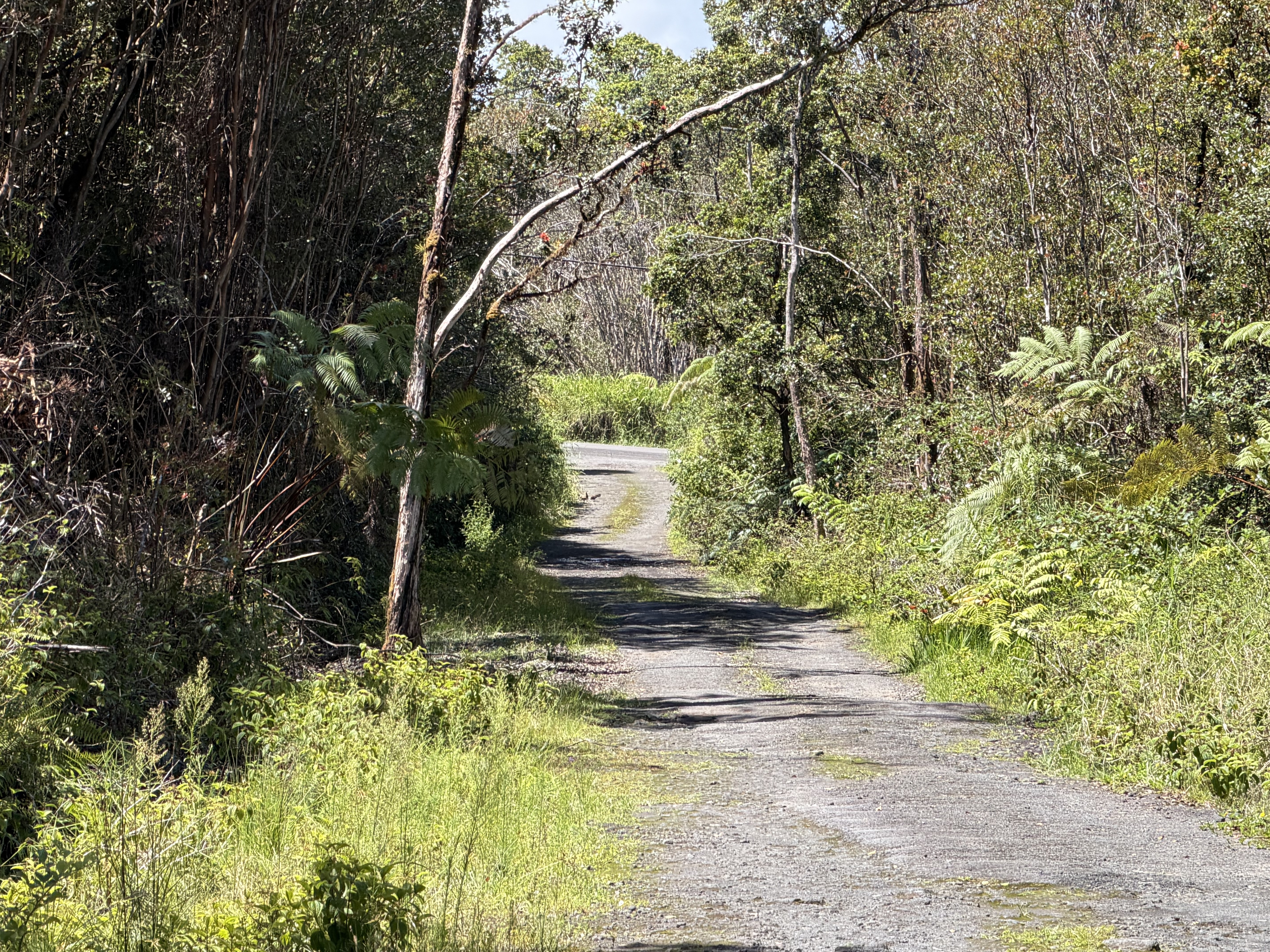 Road 7 Property Photo 5