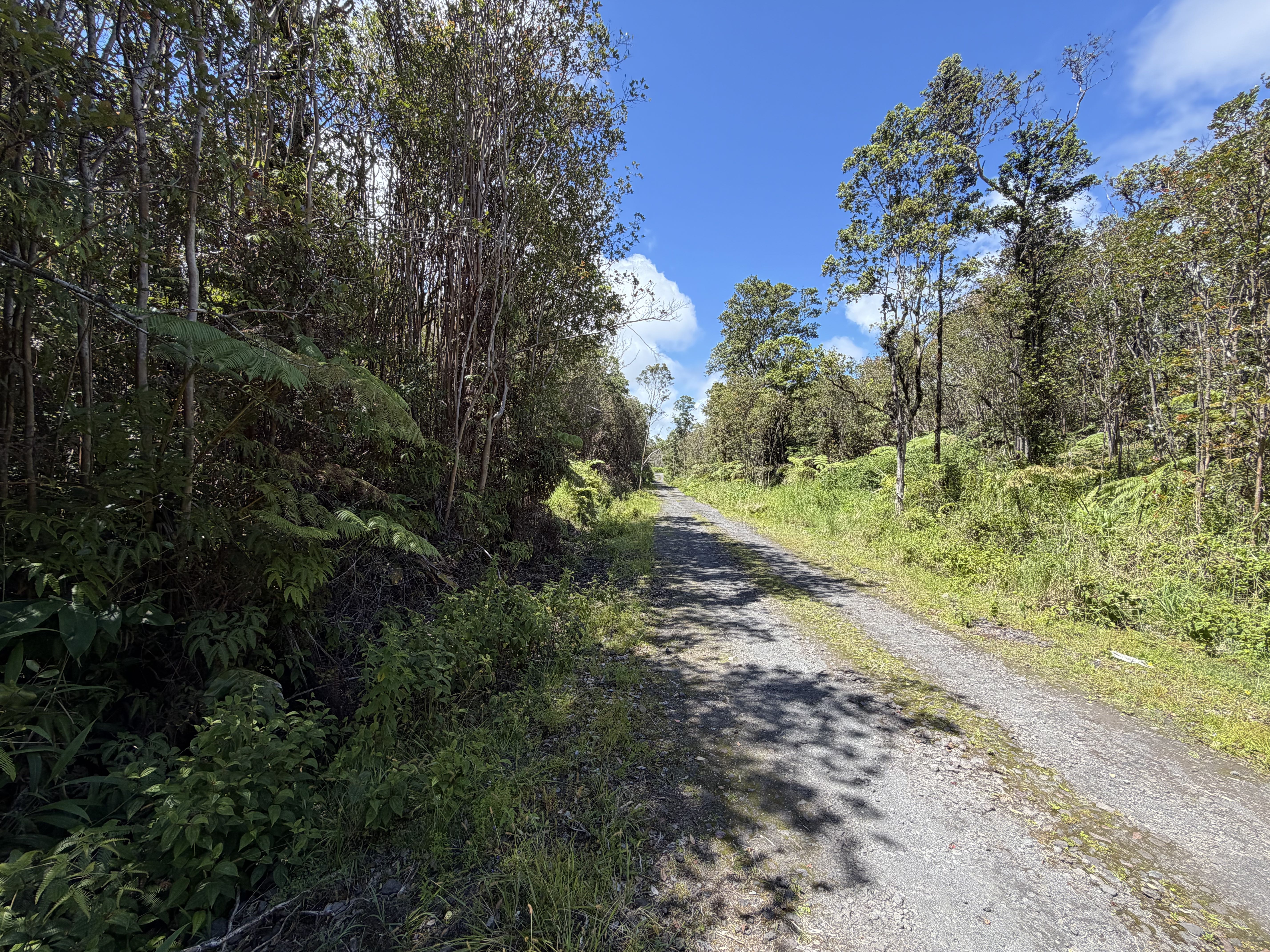 Road 7 Property Photo 6