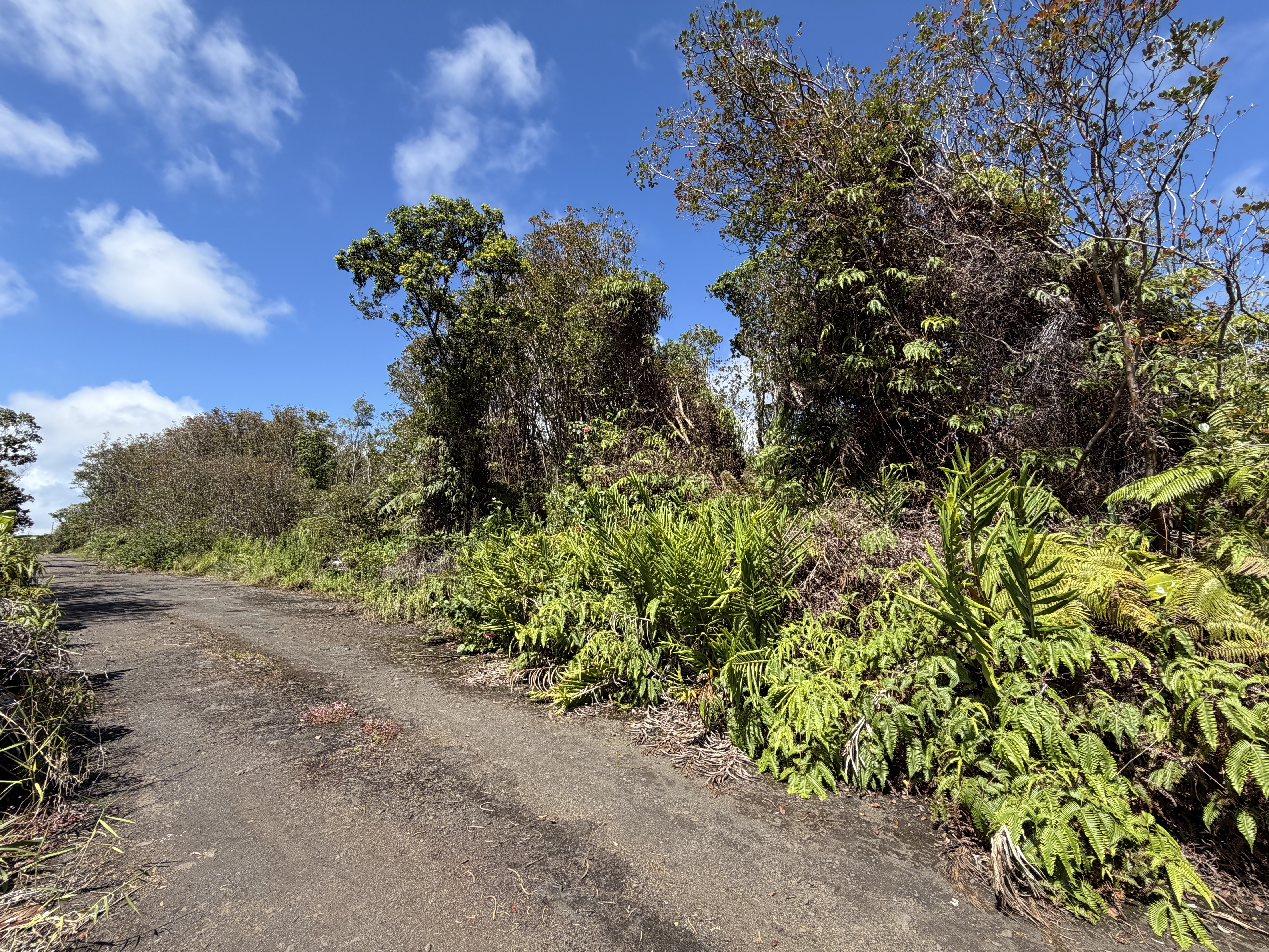 Road 12 Property Photo 2