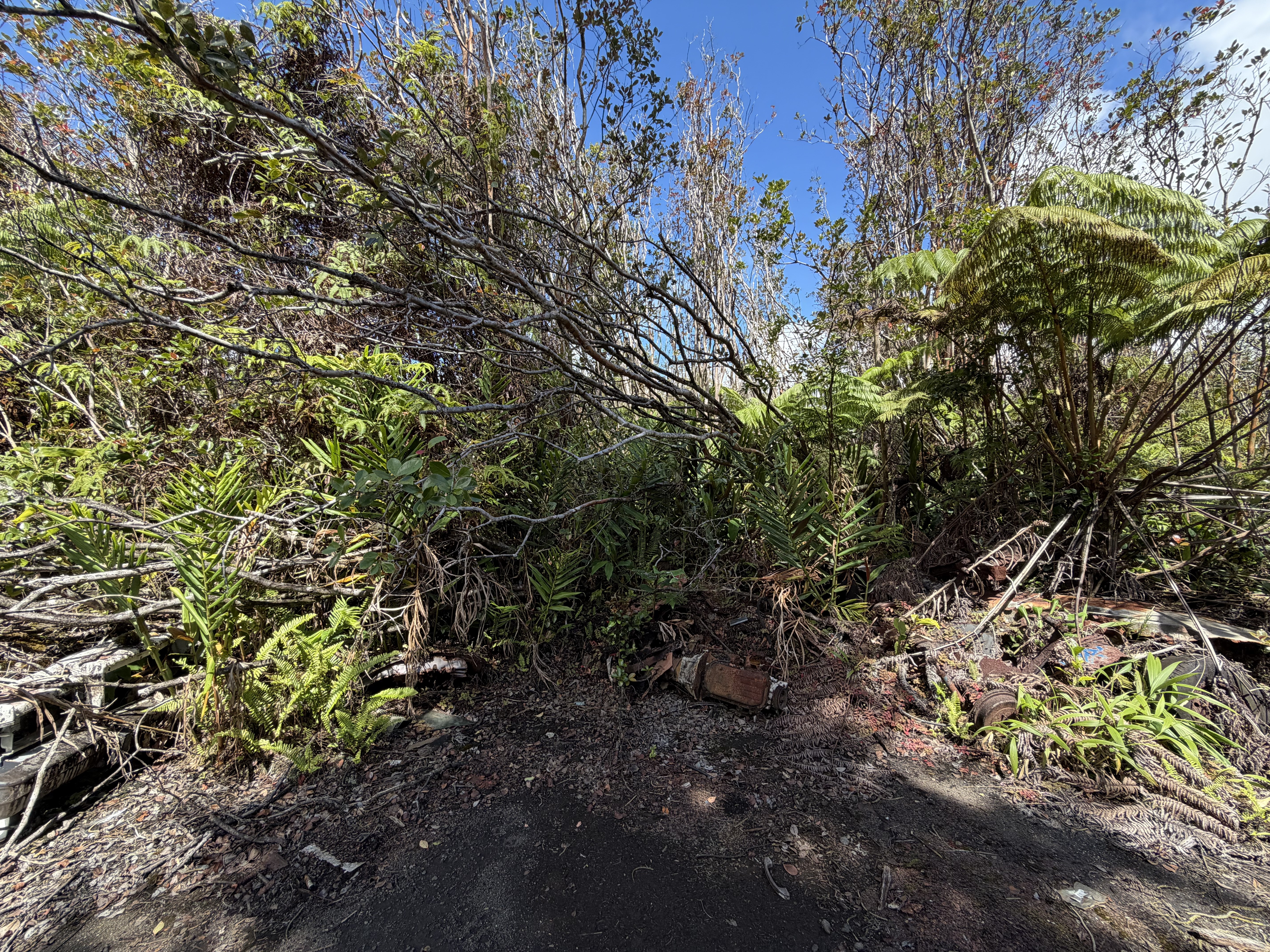 Road 12 Property Photo 5