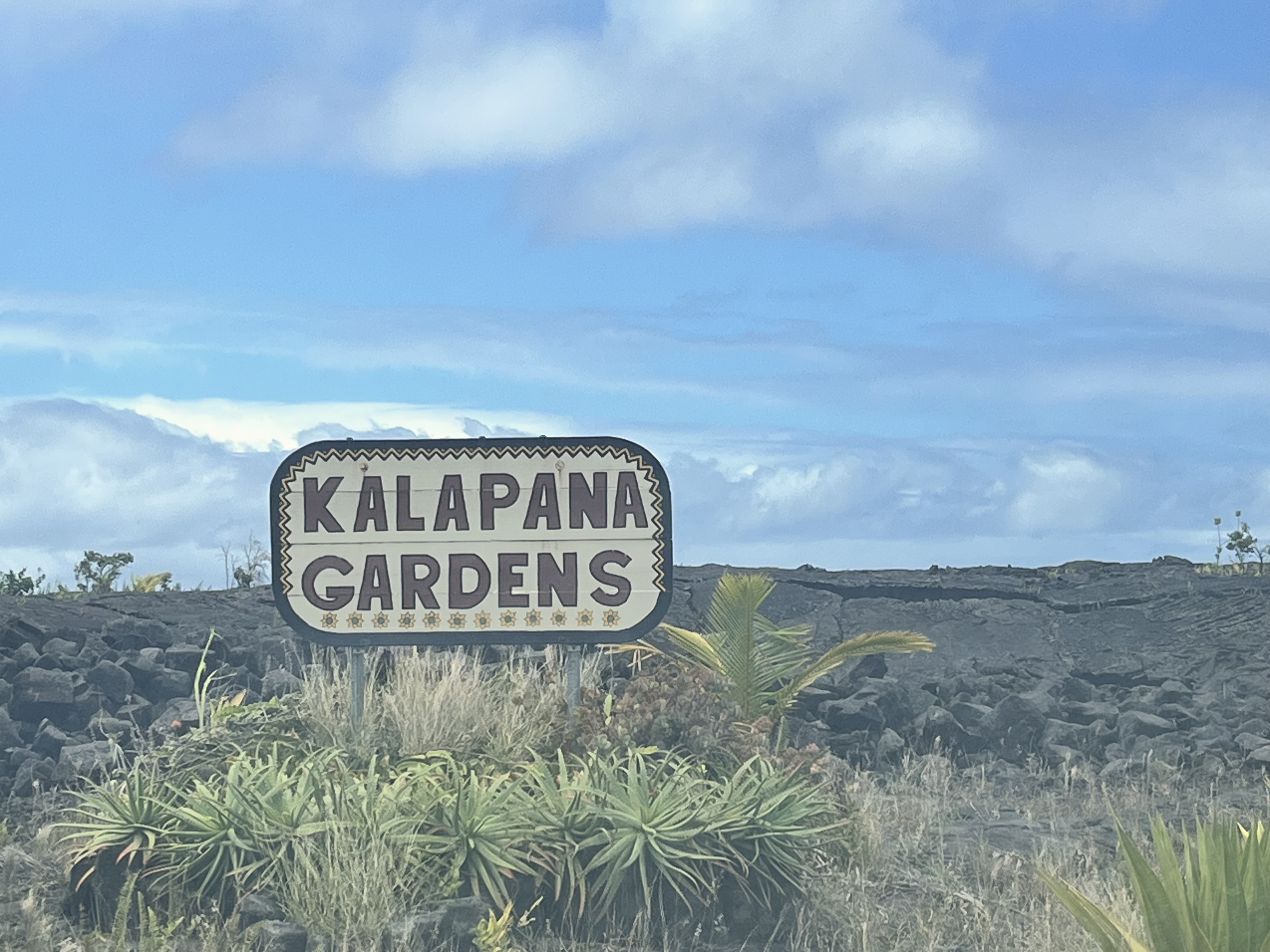 444 Kalapana Vacation Lots Property Photo 21