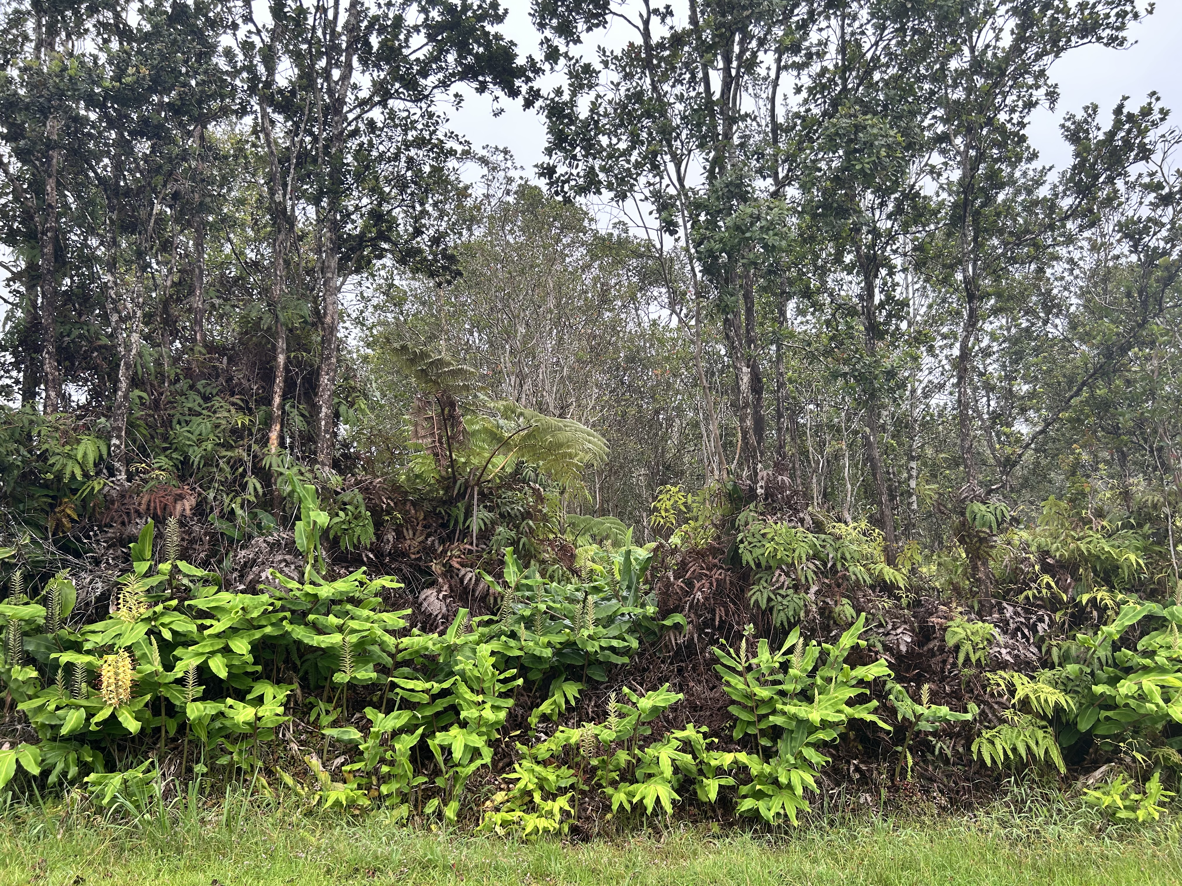 Alaula St Property Photo 1