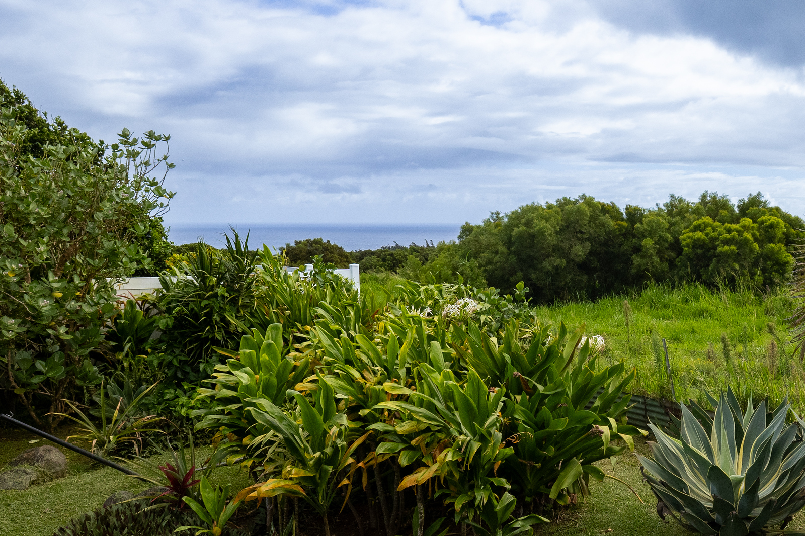 55-449 Hawi Rd B Property Photo 4