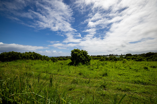 55-449 Hawi Rd B Property Photo 25
