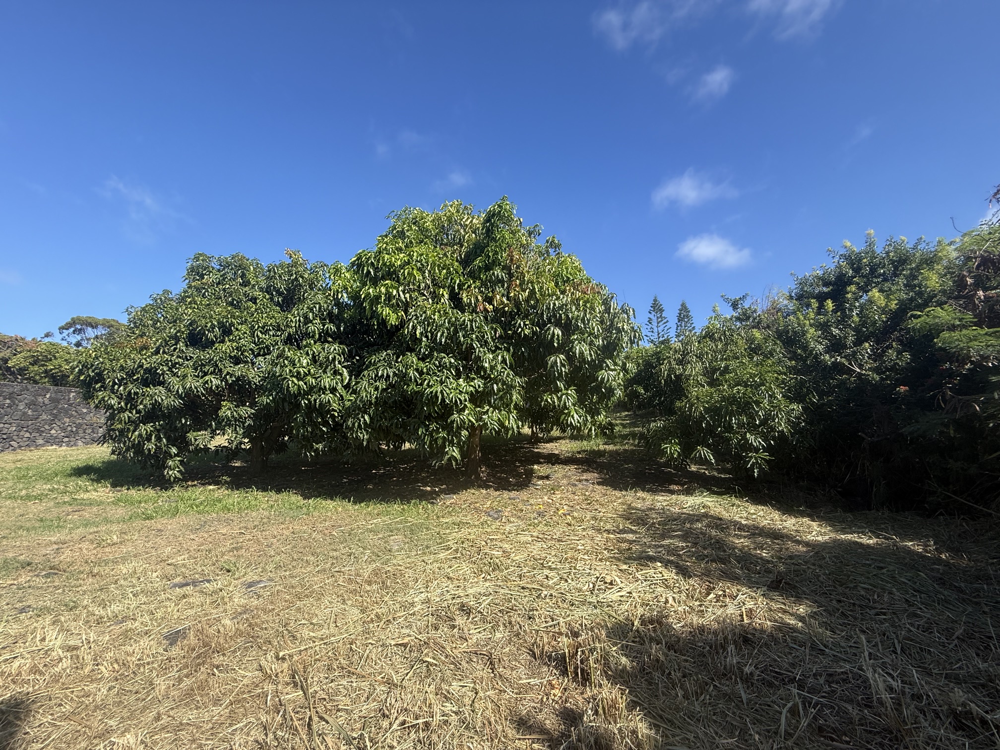 94-5799 Komo Hale Pl Property Photo 20