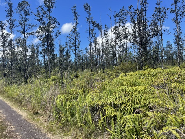 Road 6 (ooaa) Property Photo 1