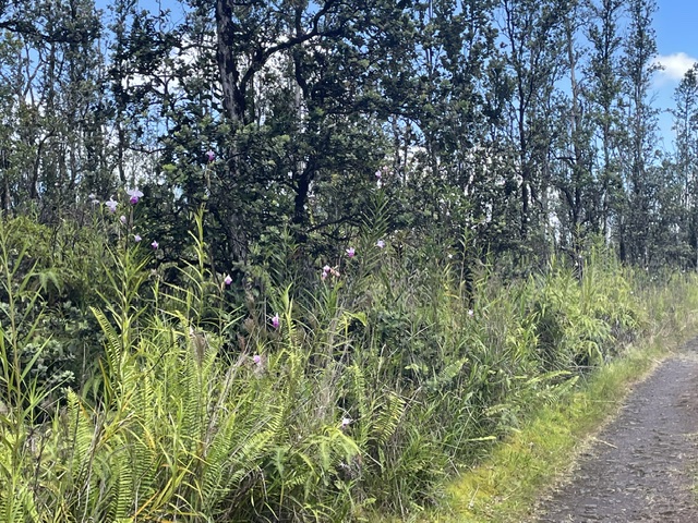 Road 6 (ooaa) Property Photo 4