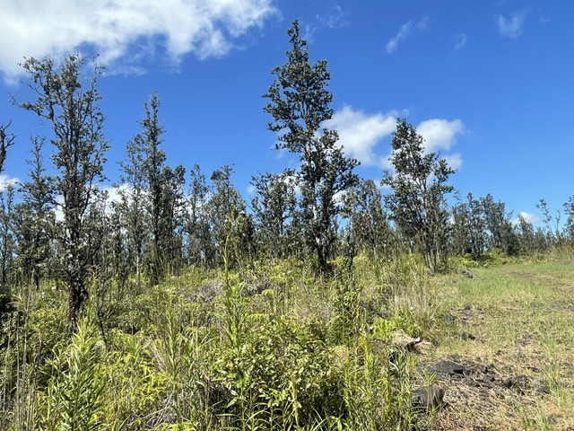 Road 6 (ooaa) Property Photo 10