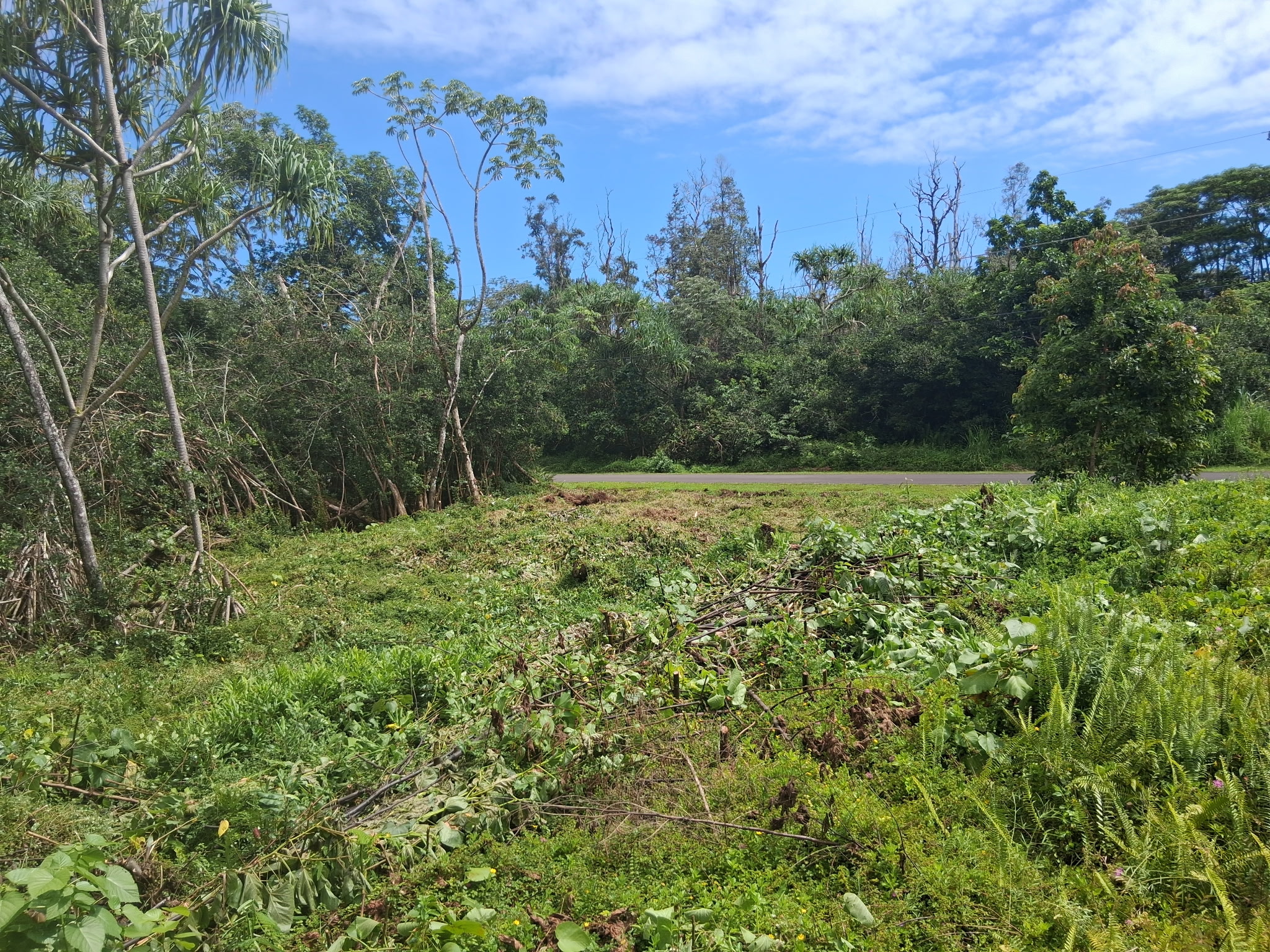Moana St Property Photo 1