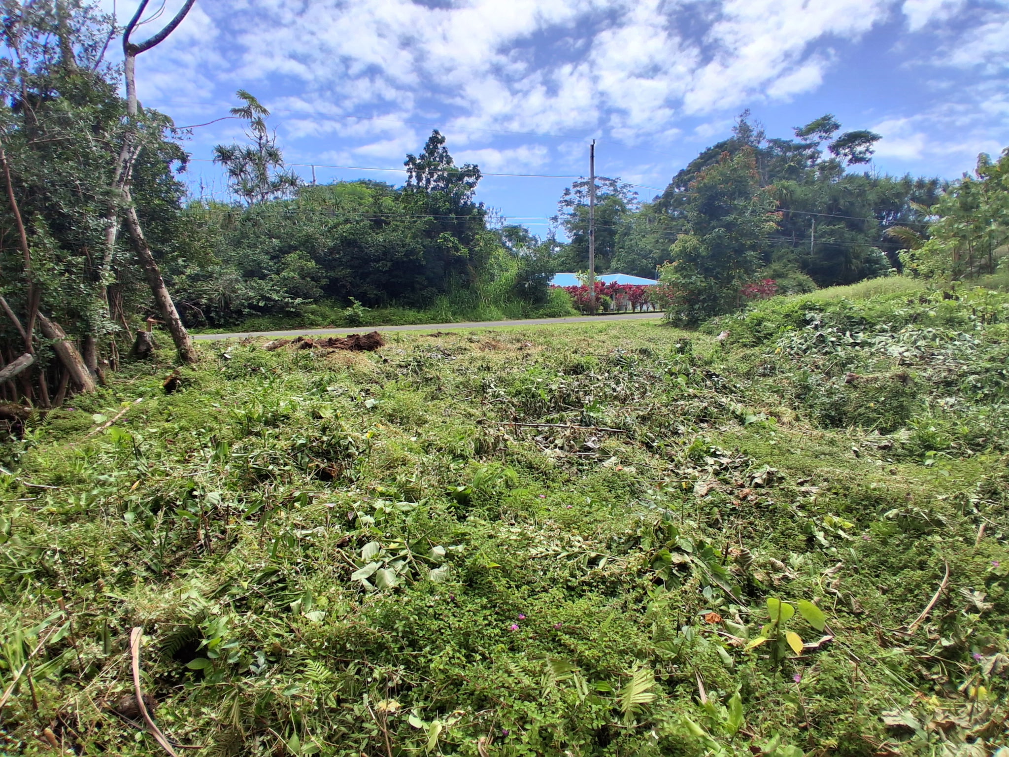 Moana St Property Photo 3