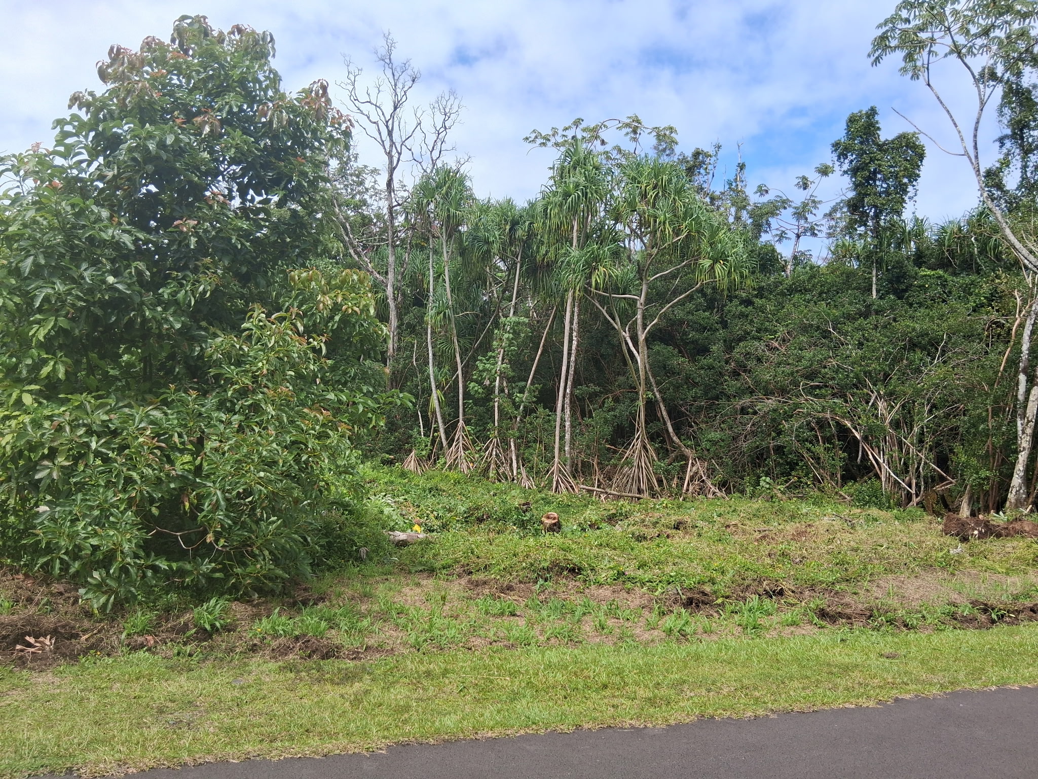 Moana St Property Photo 11