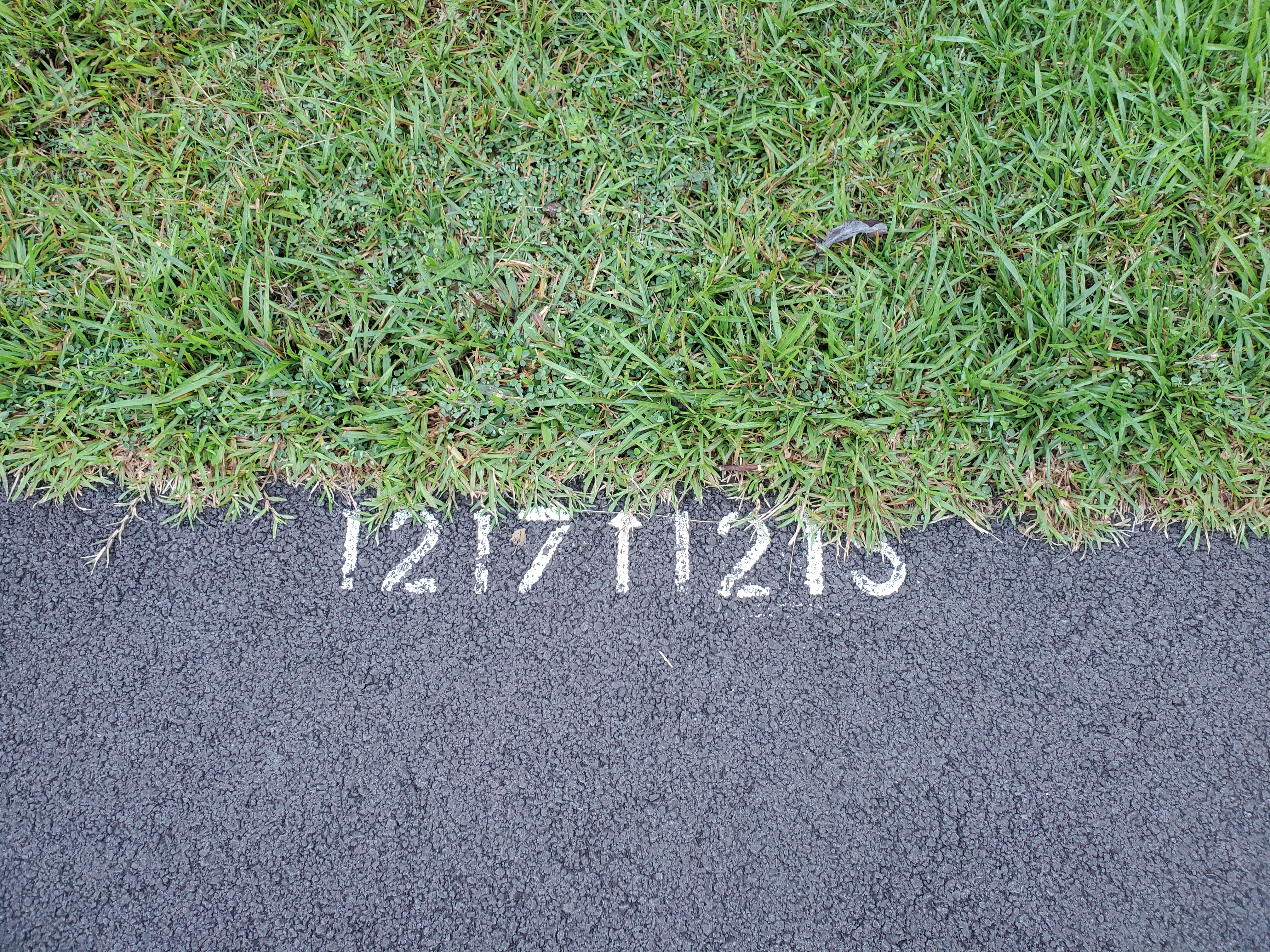 Moana St Property Photo 12