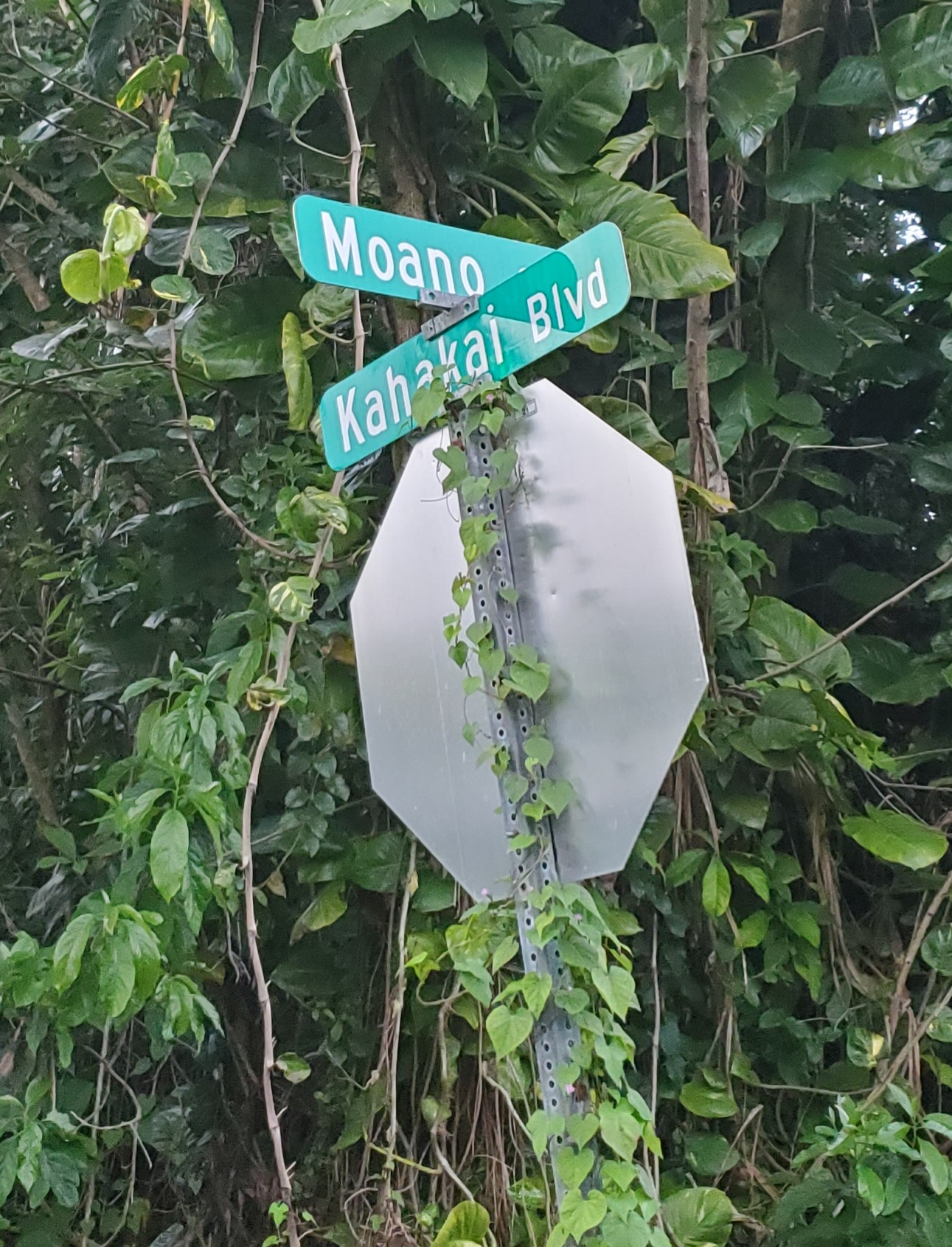 Moana St Property Photo 13