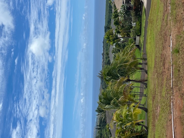 1194 Pua Melia St Property Photo 5