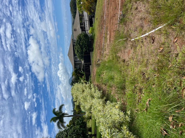 1194 Pua Melia St Property Photo 7