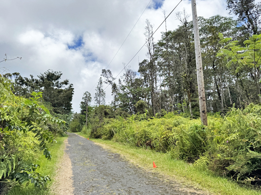 Lehua Rd Property Photo 11