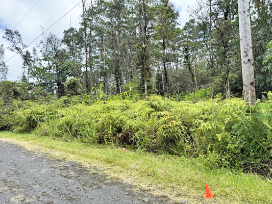 Lehua Rd Property Photo 12