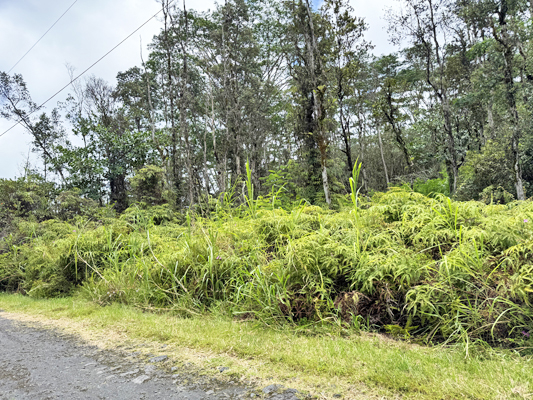 Lehua Rd Property Photo 13