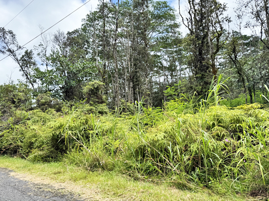 Lehua Rd Property Photo 14