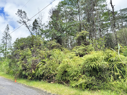 Lehua Rd Property Photo 15
