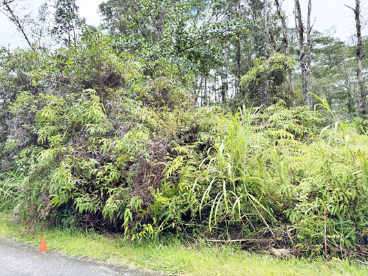 Lehua Rd Property Photo 16