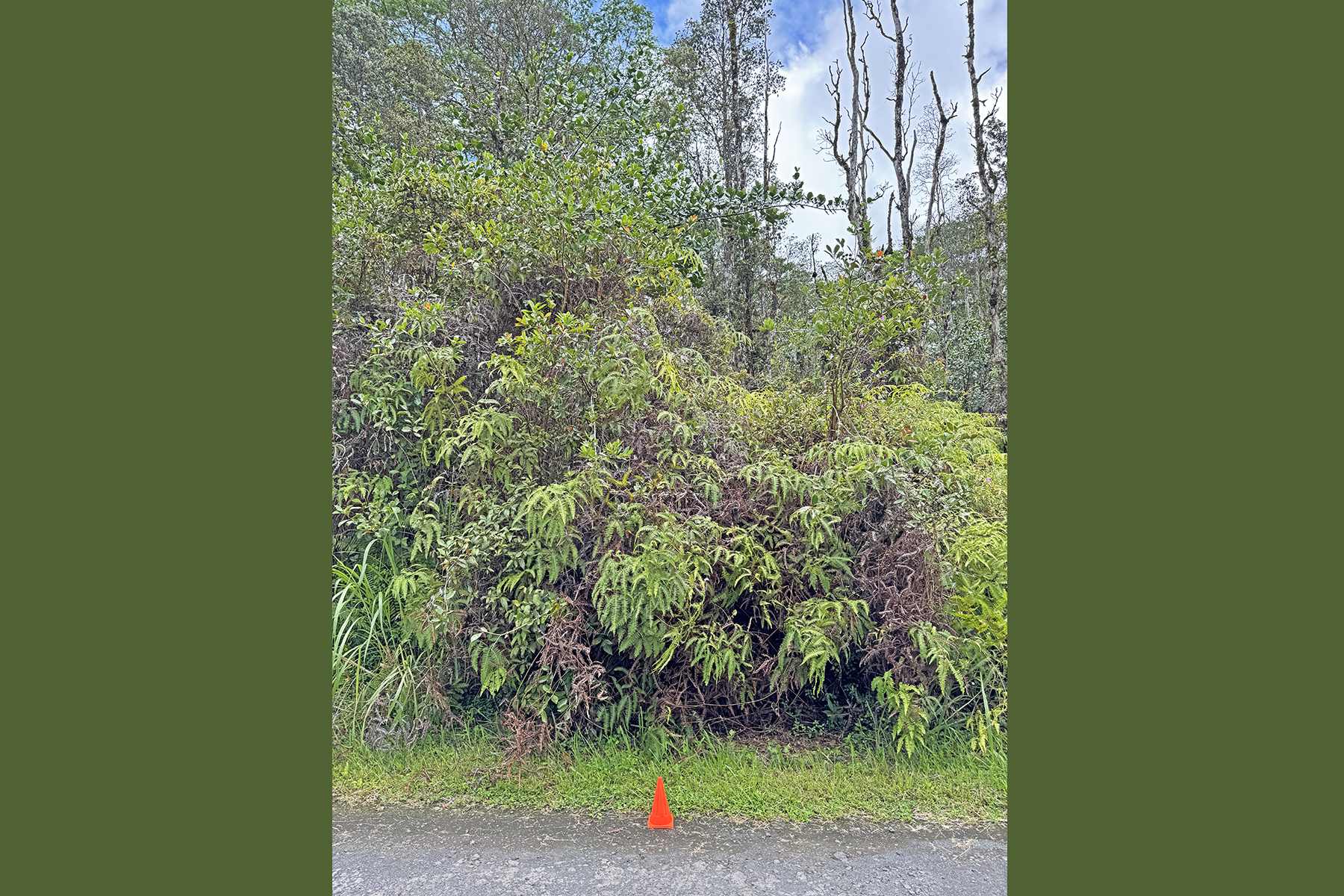 Lehua Rd Property Photo 17