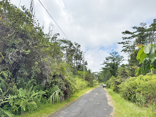 Lehua Rd Property Photo 18