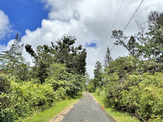 Lehua Rd Property Photo 24
