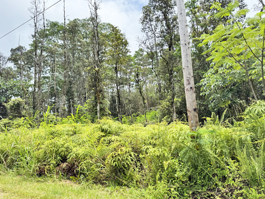 Lehua Rd Property Photo 27