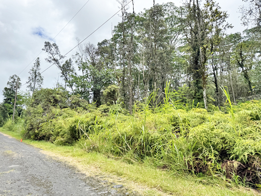 Lehua Rd Property Photo 28