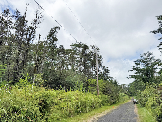 Lehua Rd Property Photo 29