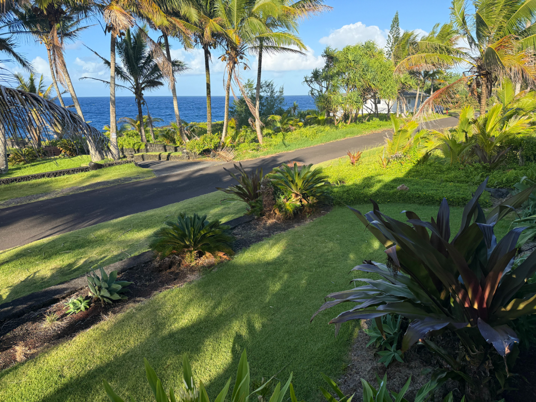 15-115 Puhi St Property Photo 4