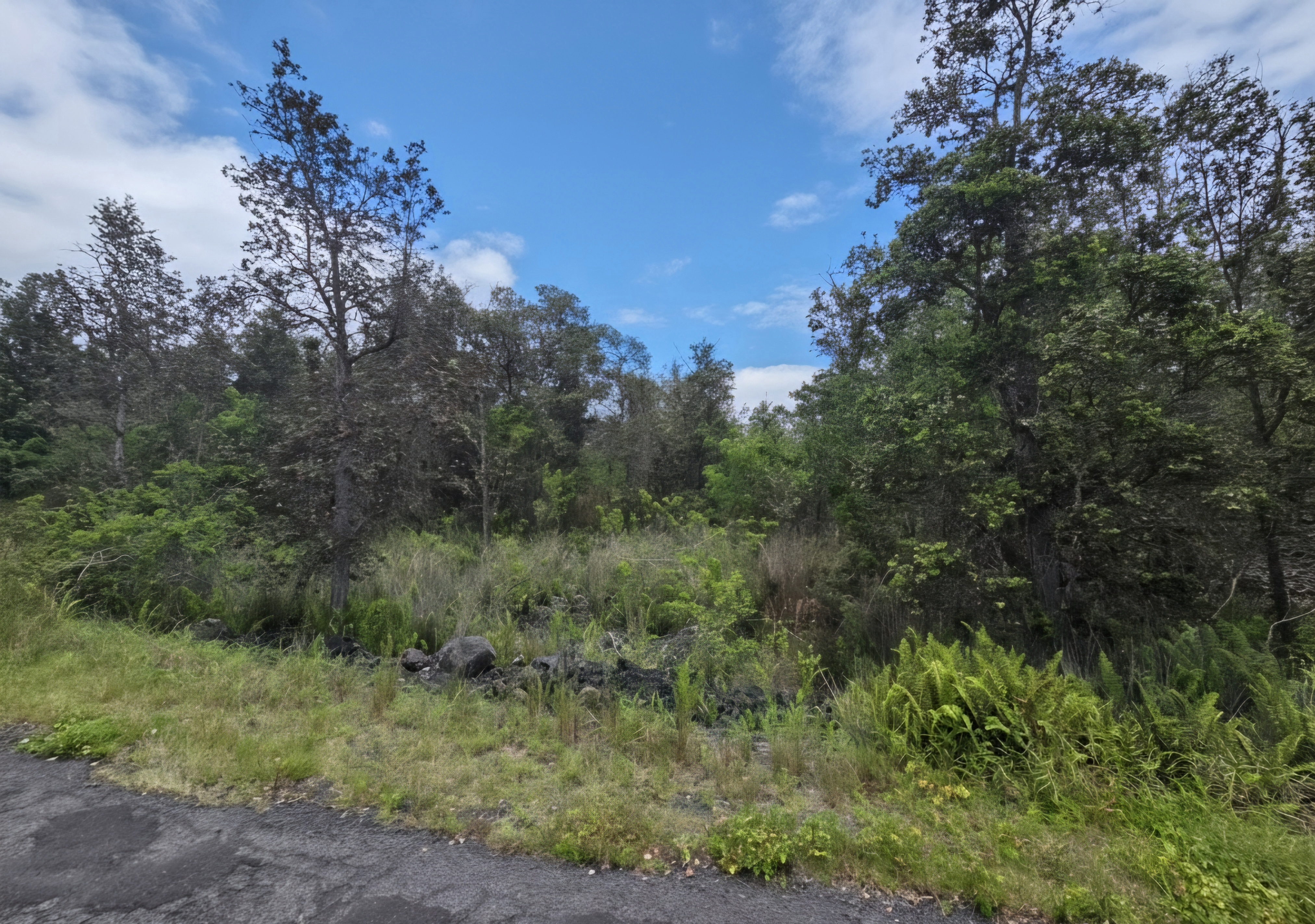 Orchid Pkwy Property Photo 2