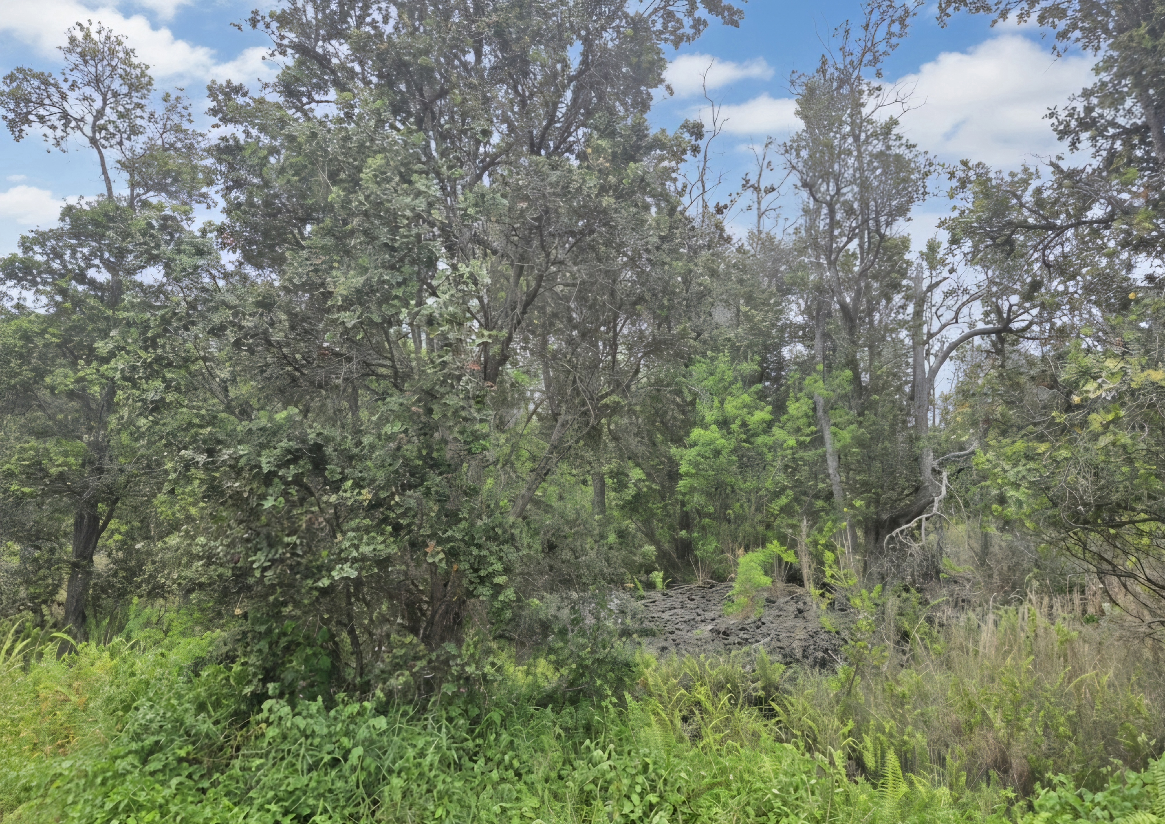 Orchid Pkwy Property Photo 3