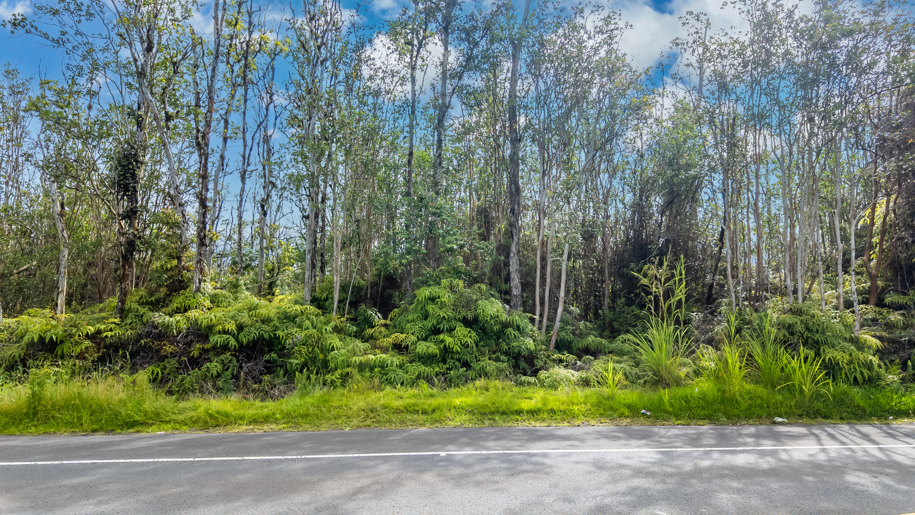 8 Road 8 (moho) Property Photo 3