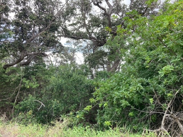 Keaka Pkwy Property Photo 2