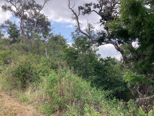 Keaka Pkwy Property Photo 6