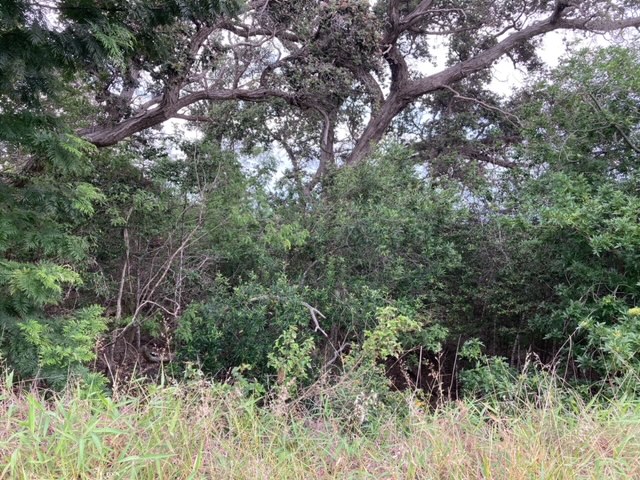 Keaka Pkwy Property Photo 8