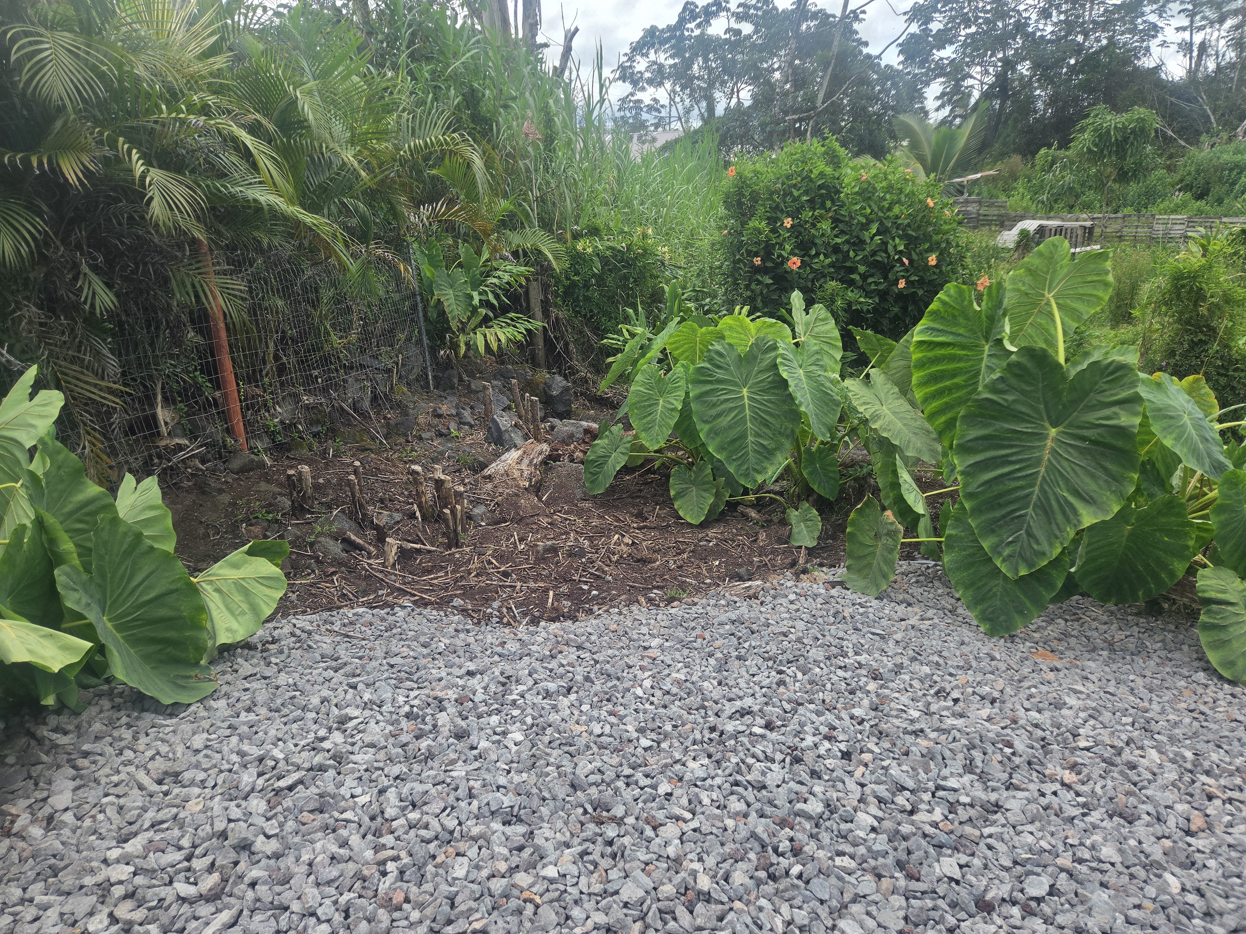 King Kamehameha Blvd Property Photo 3
