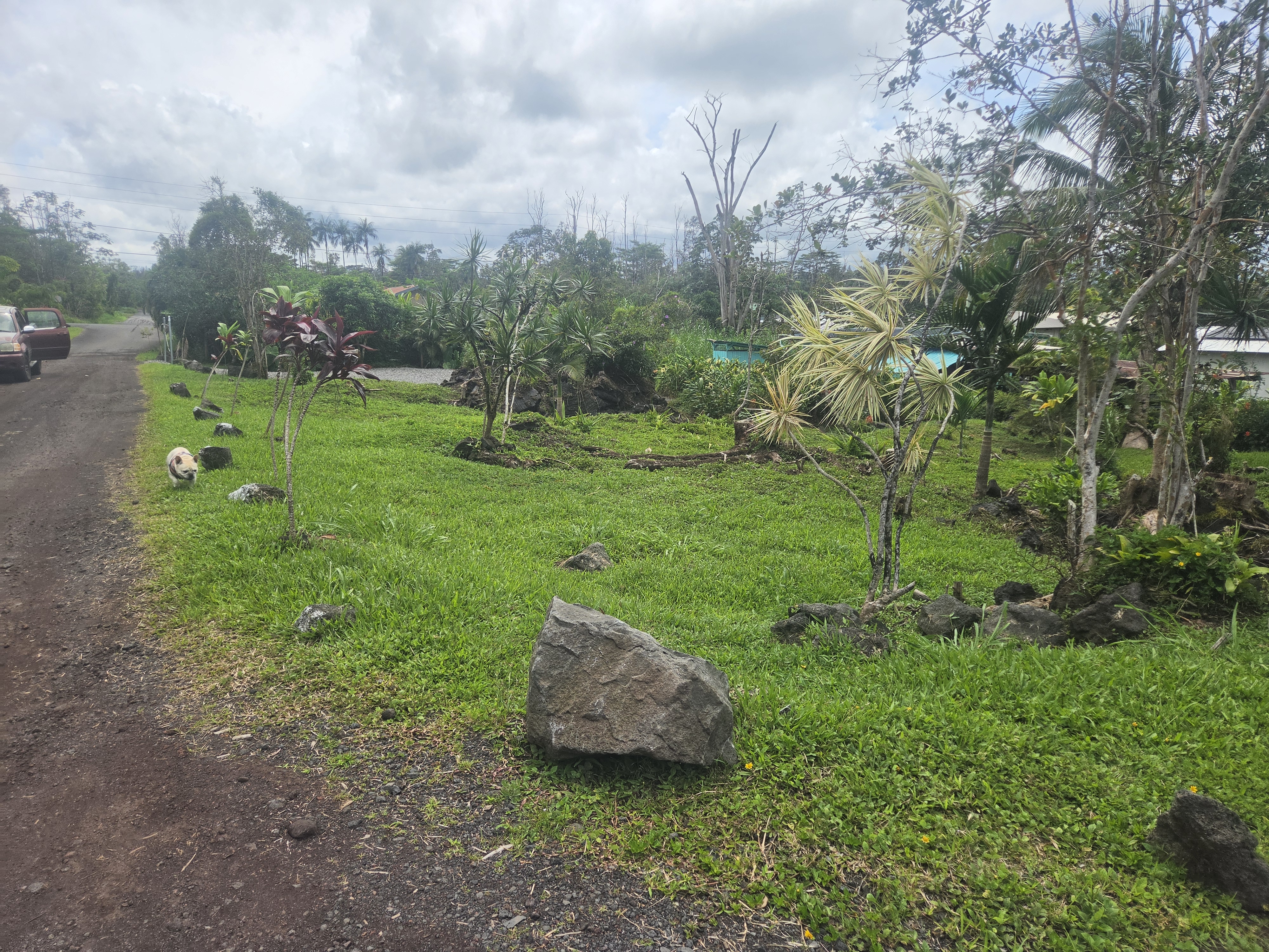 King Kamehameha Blvd Property Photo 4