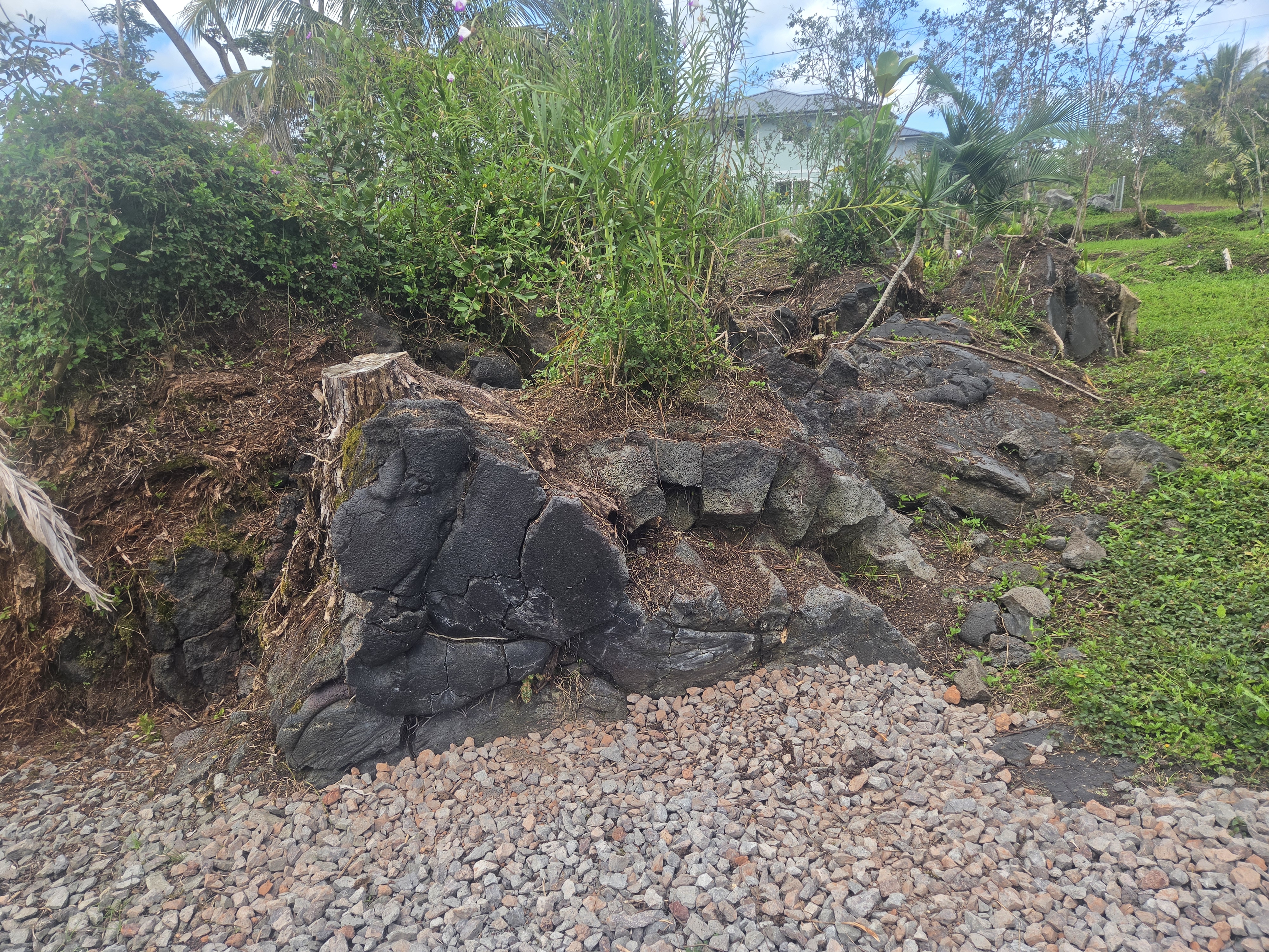 King Kamehameha Blvd Property Photo 8