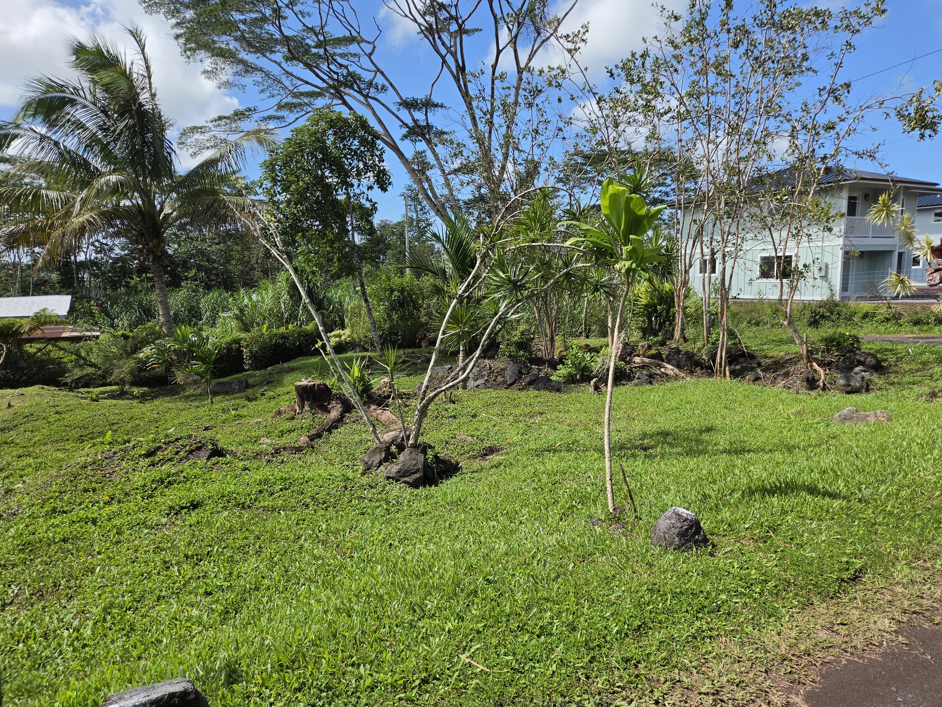 King Kamehameha Blvd Property Photo 11
