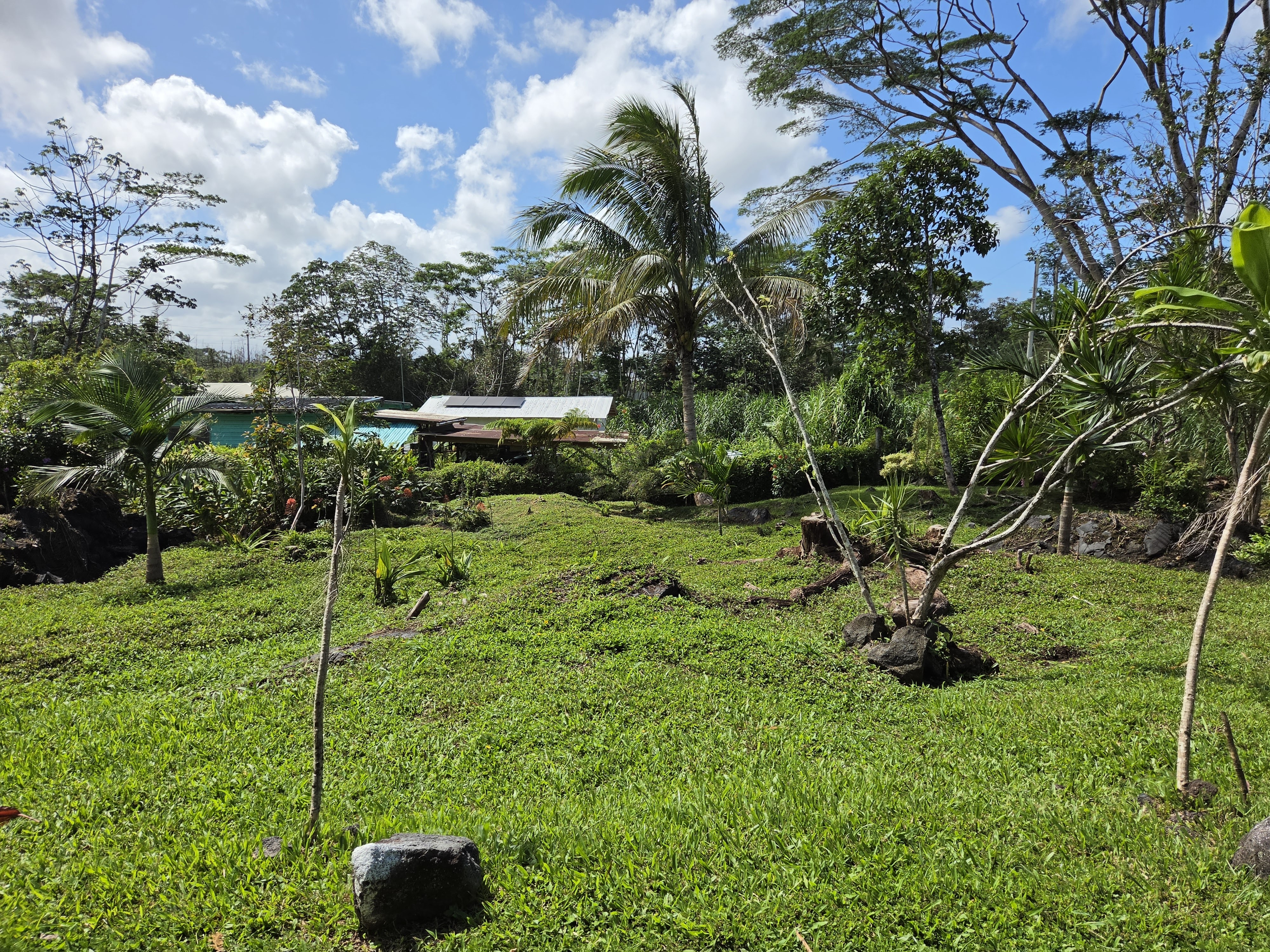 King Kamehameha Blvd Property Photo 12