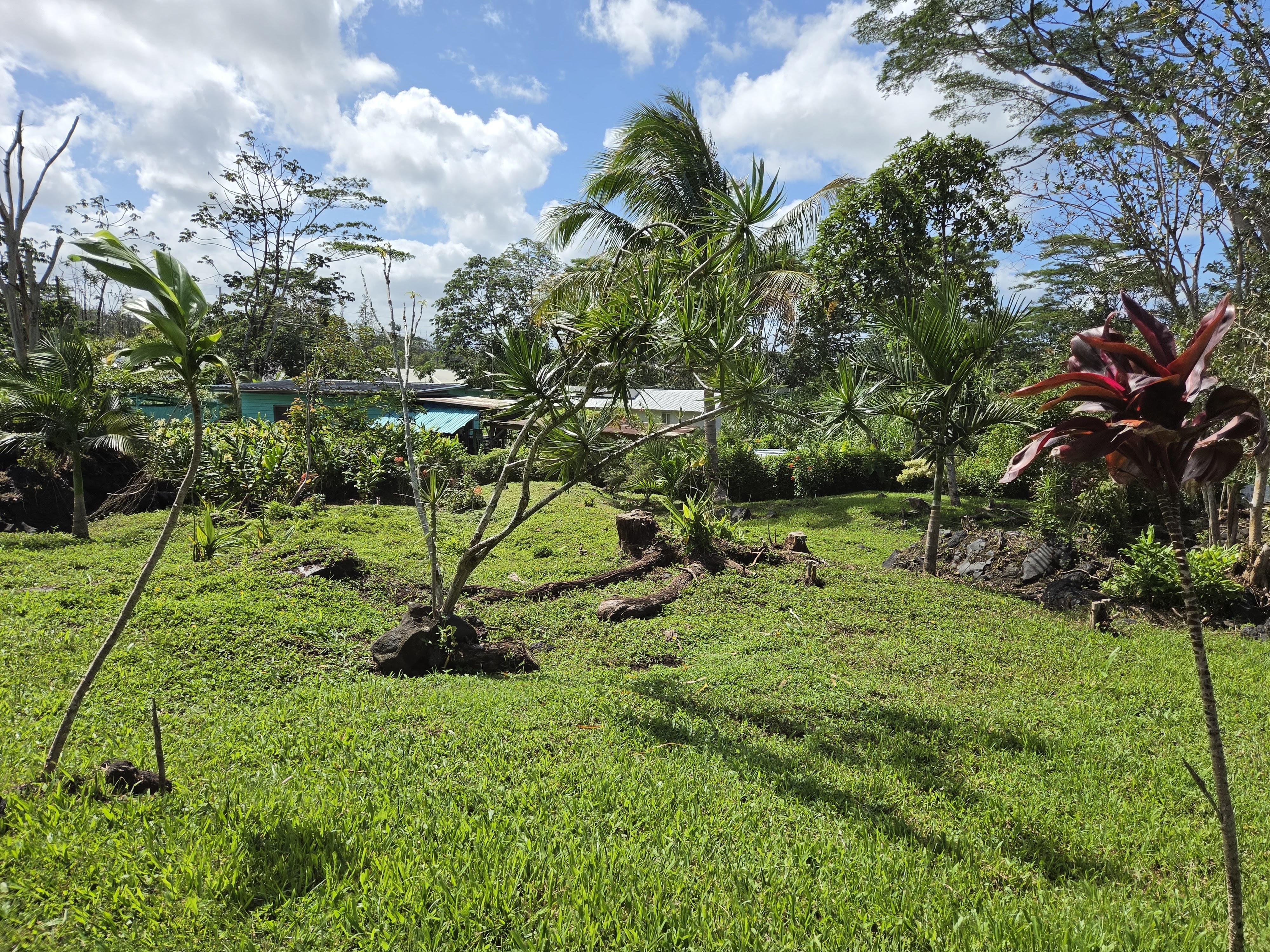 King Kamehameha Blvd Property Photo 13