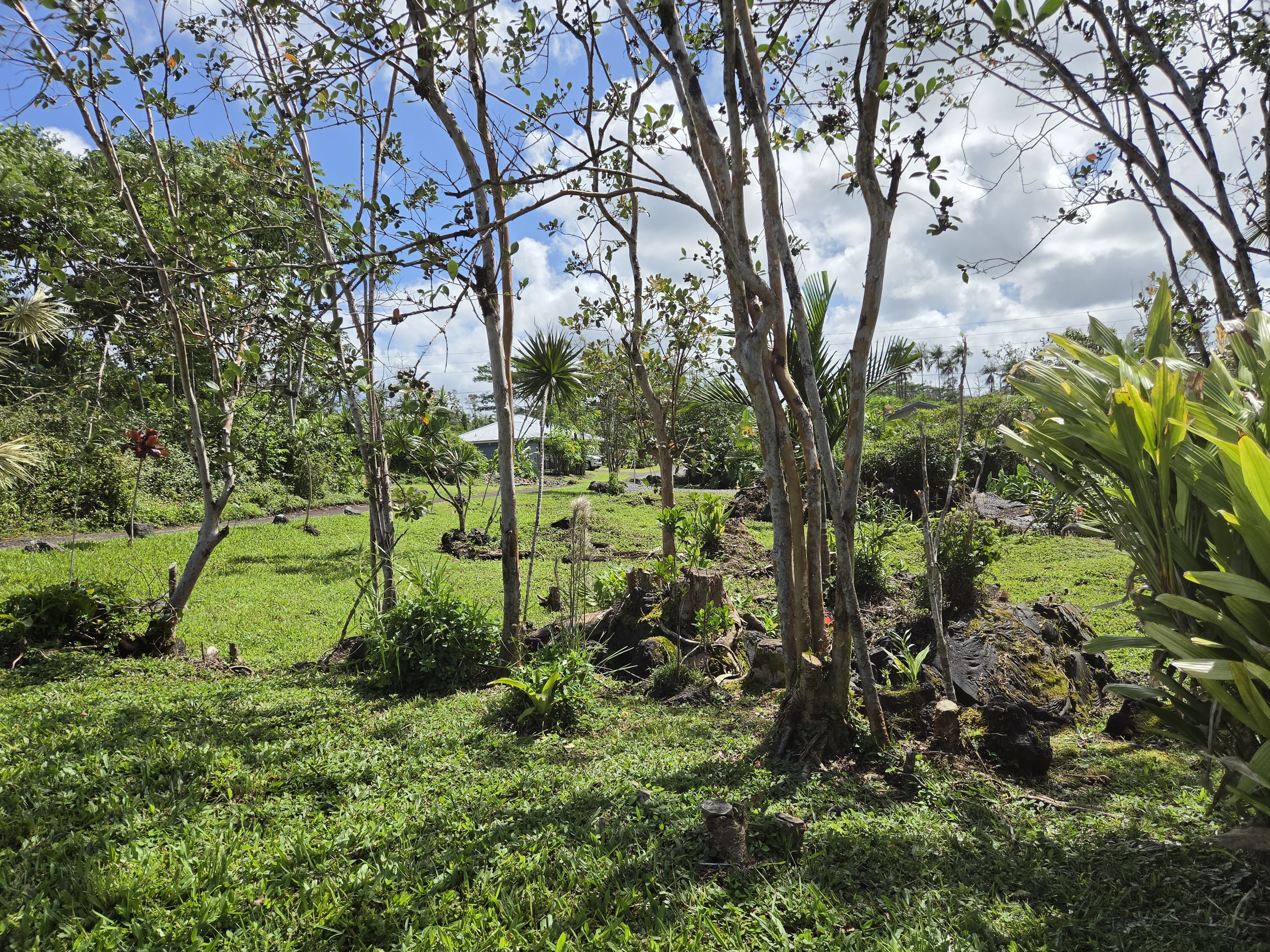 King Kamehameha Blvd Property Photo 15