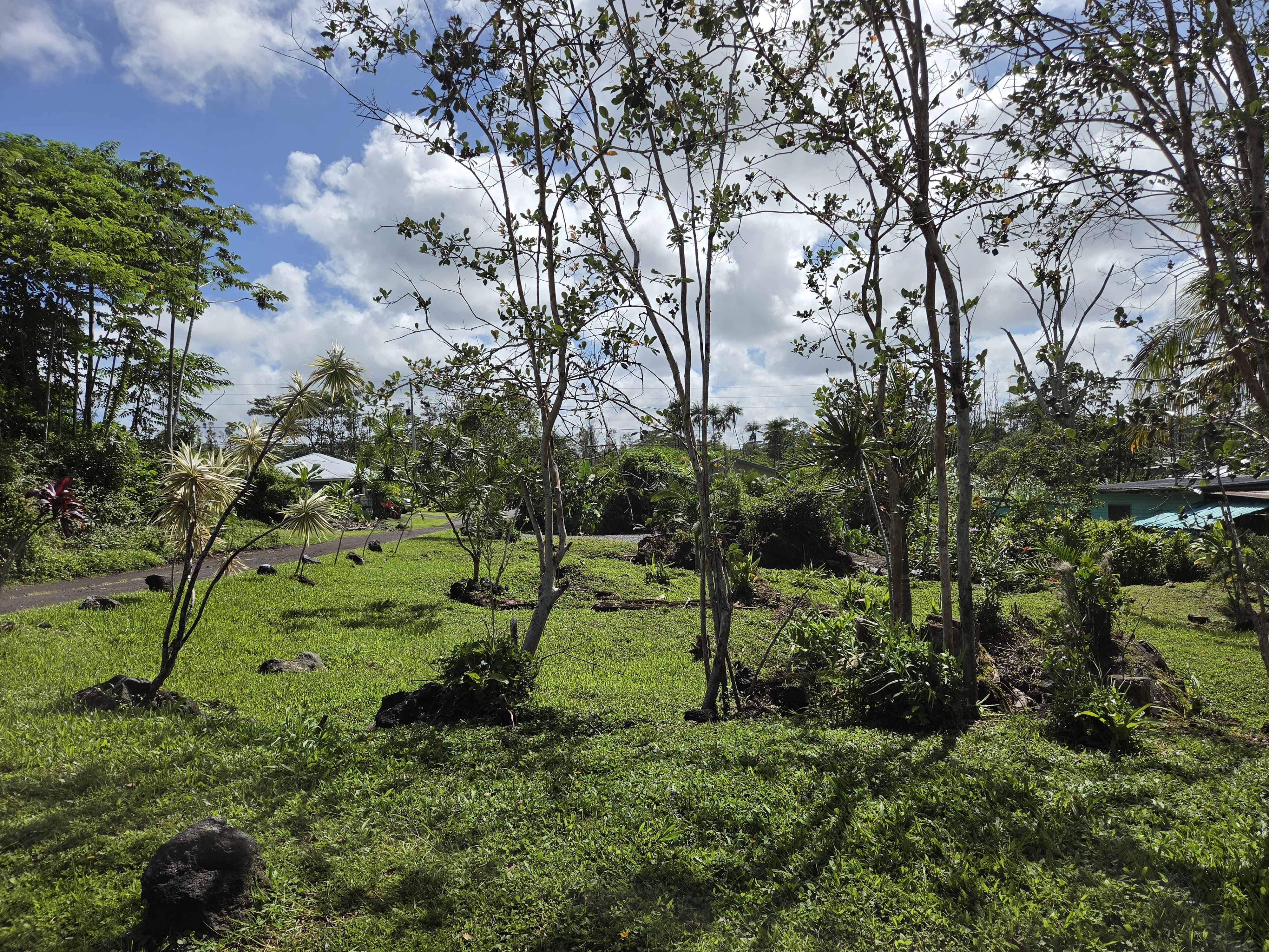 King Kamehameha Blvd Property Photo 16